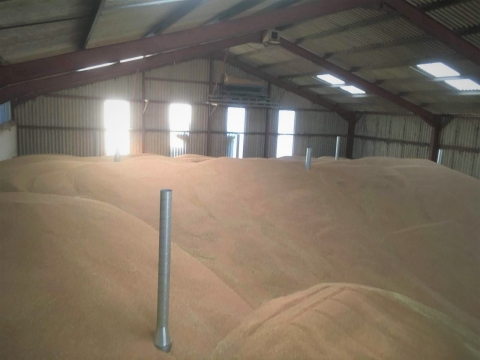 Grain Ventilation 0