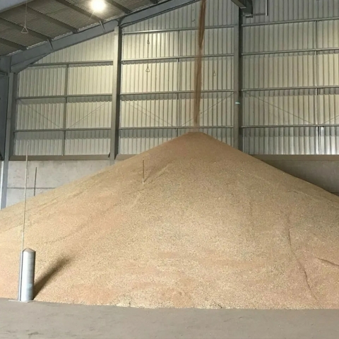Grain Ventilation